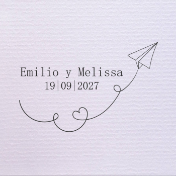 Sello de boda avión de papel 29,90 €