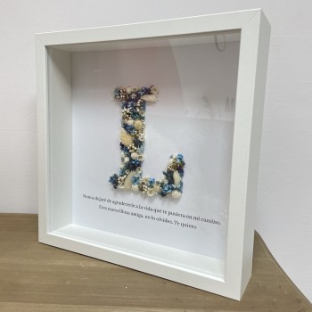 Marco inicial preservada