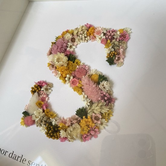 Marco inicial preservada