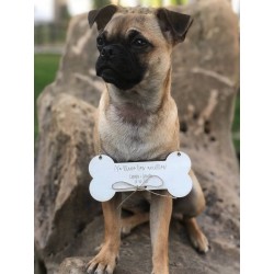 Porta alianzas perro 22,50 €
