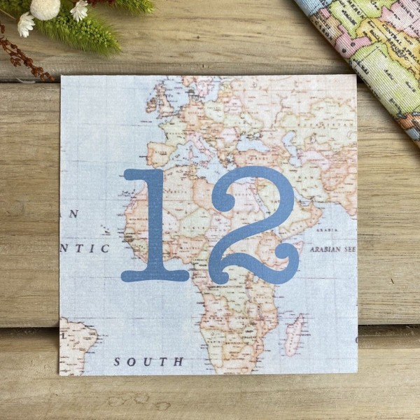 Mesero de boda Viajera