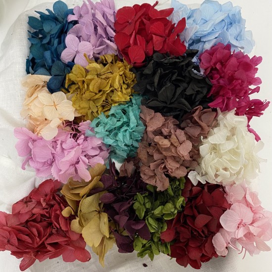 Collar flores para perros