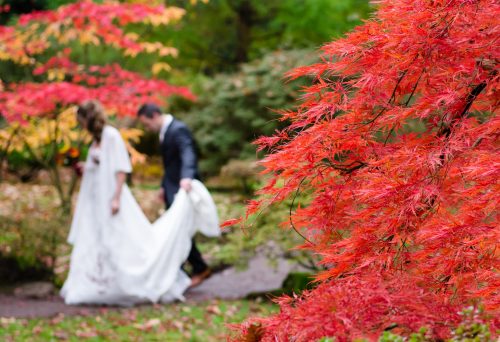 colores boda otoño